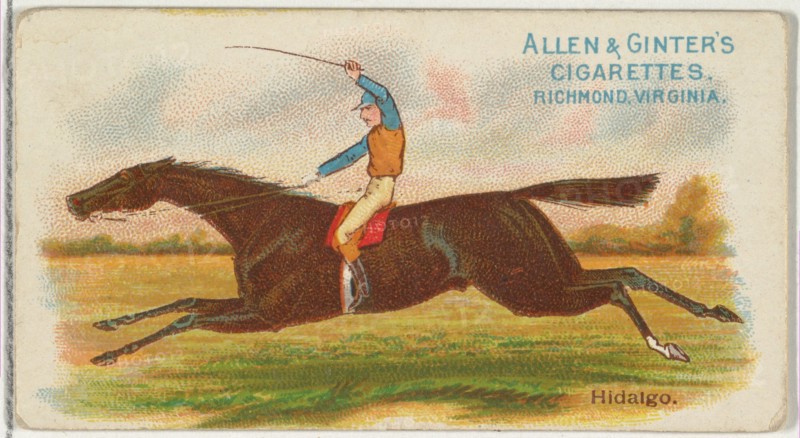 Hidalgo, from The World's Racers series