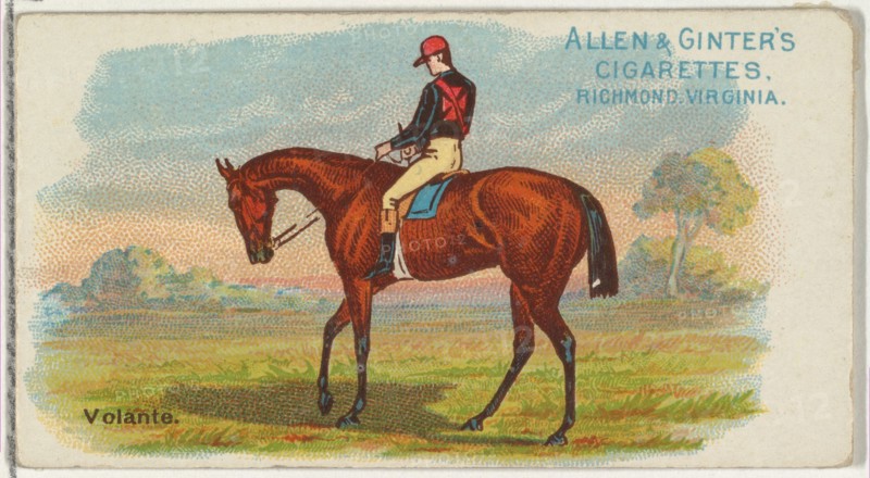 Volante, from The World's Racers series