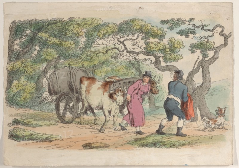 Plate 40, from "World in Miniature", 1816.