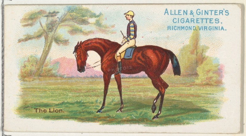 The Lion, from The World's Racers series