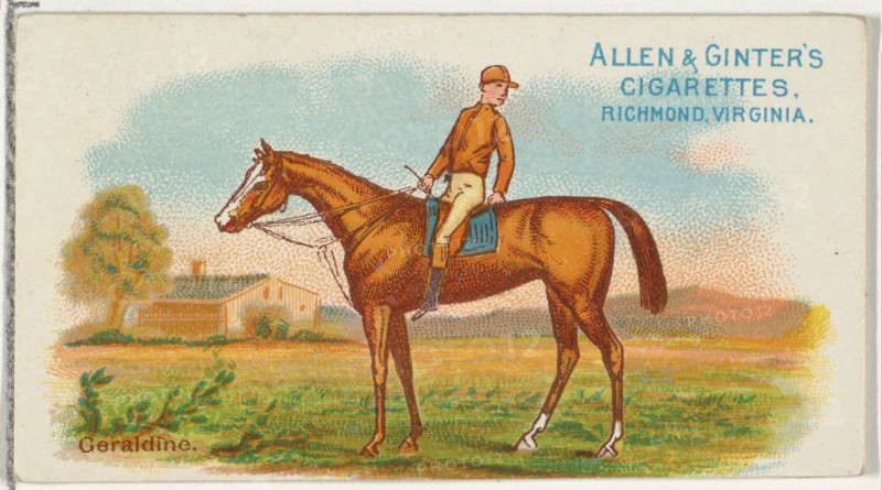 Geraldine, from The World's Racers series
