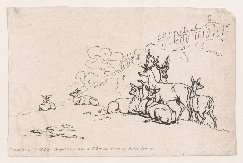 Deer (from Plate 3
