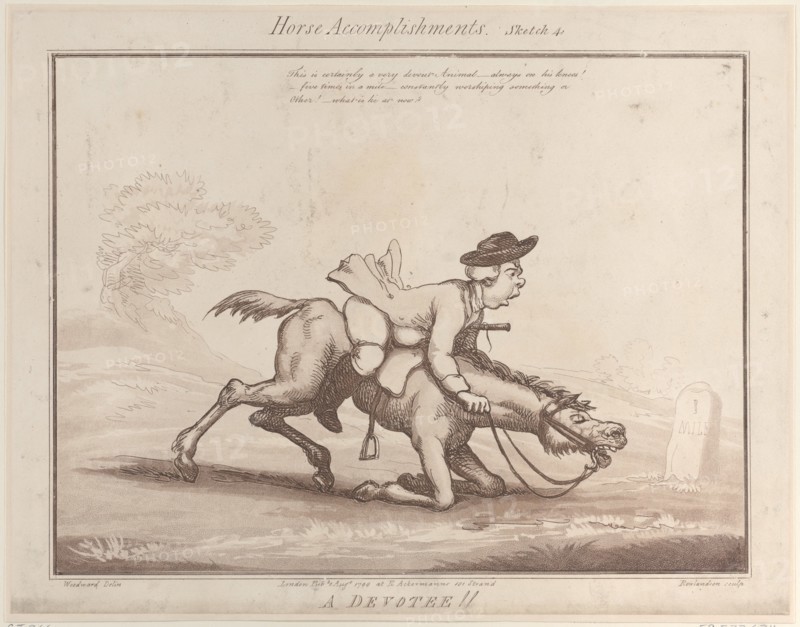 Horse Accomplishments