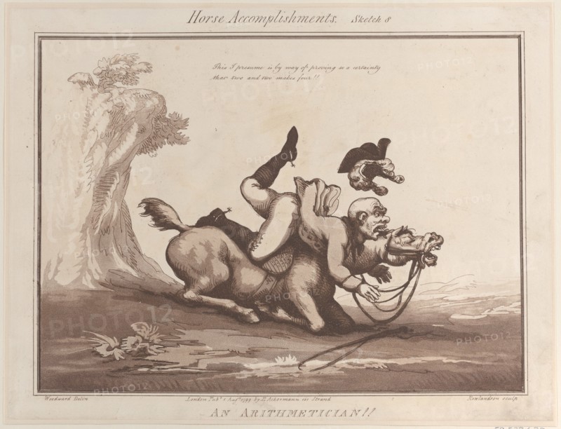 Horse Accomplishments
