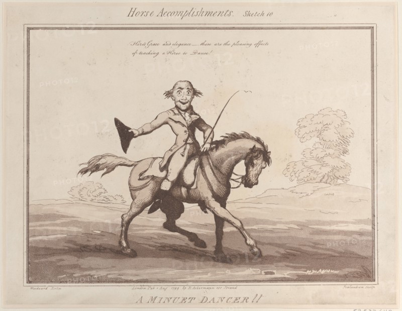 Horse Accomplishments