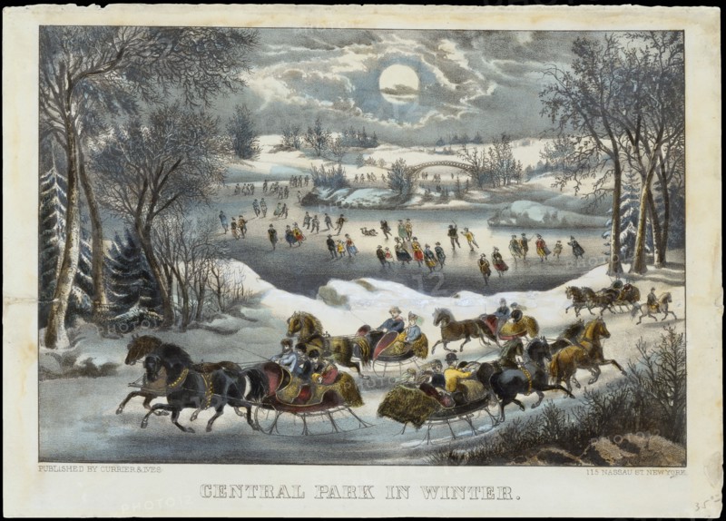 Central Park in Winter