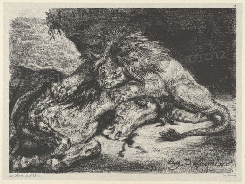 Lion Devouring a Horse