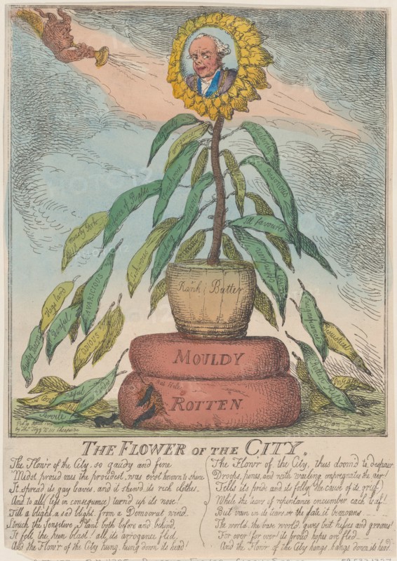 The Flower of the City