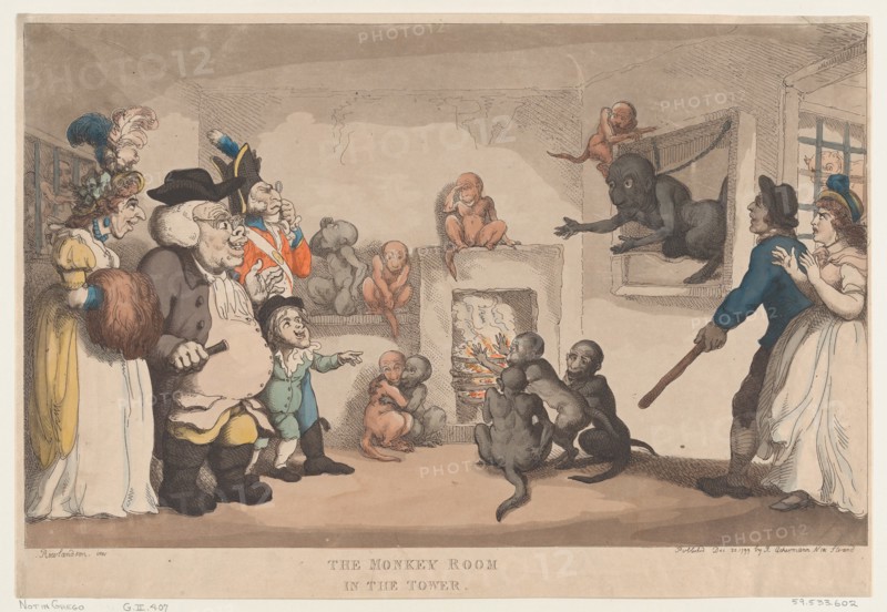The Monkey Room in the Tower
