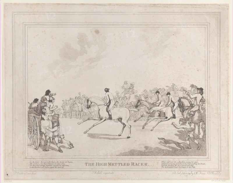 The Race Horse (from The Life of a Racehorse
