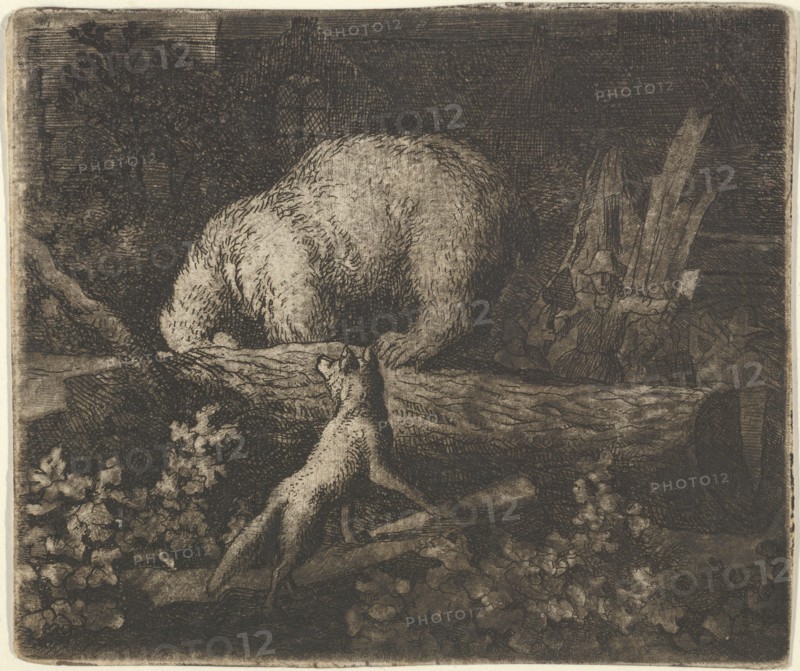 The Bear with His Snout and Forepaws Caught in the Trunk of a Tree. From Hendrick van Alcmar's Renard The Fox