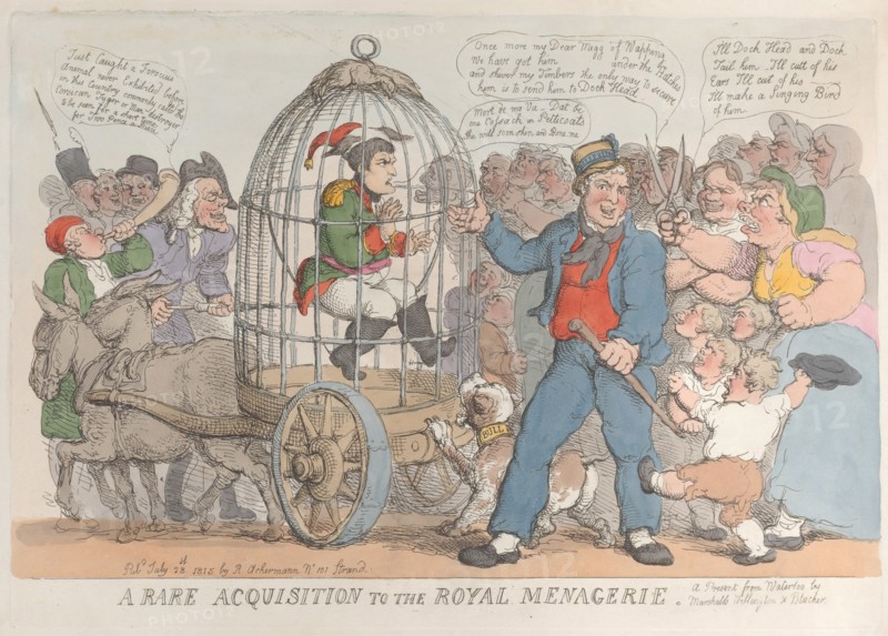 A Rare Acquisition to the Royal Menagerie, July 28, 1815.