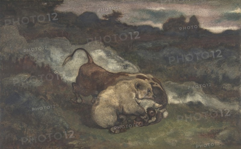 Bear Killing a Bull, 1810-75.