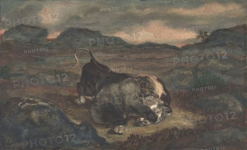Bear Killing Bull, 1810-75.