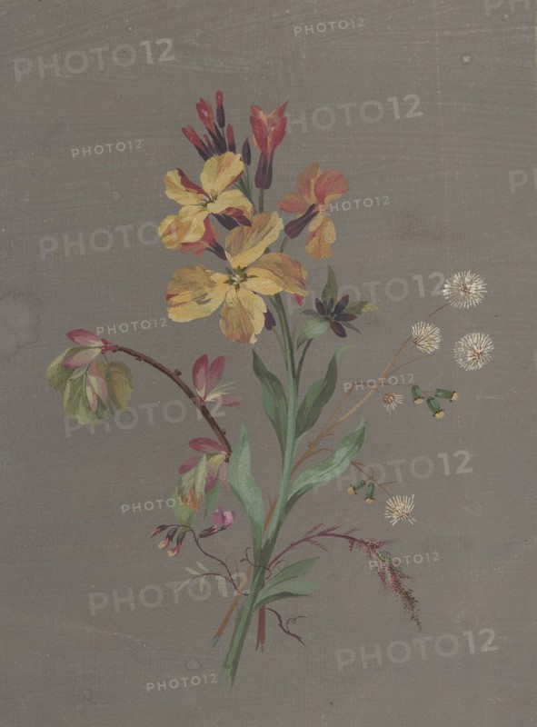 Floral Design, ca. 1820.