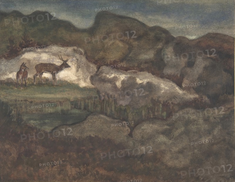 Izards in the Glaciers (Pyrenean Chamois), 1810-75.