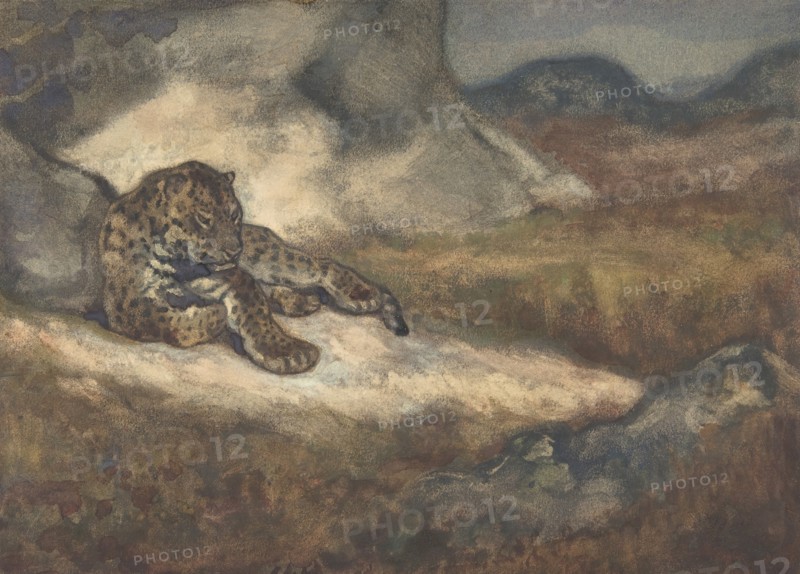 Leopard Lying Down, 1810-75.