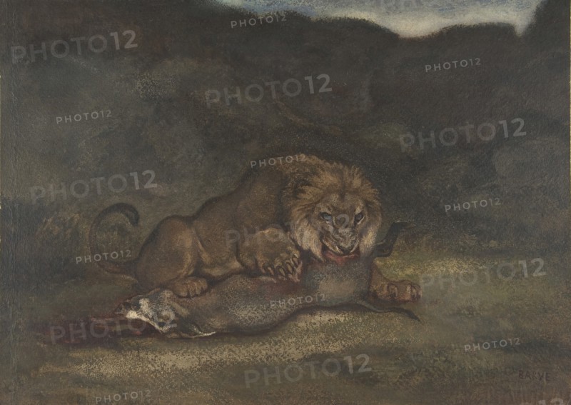 Lion Devouring Prey, 1810-75.
