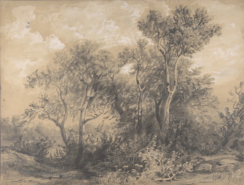 Trees (recto); Soldiers in a Wood (verso), early to mid-19th century.