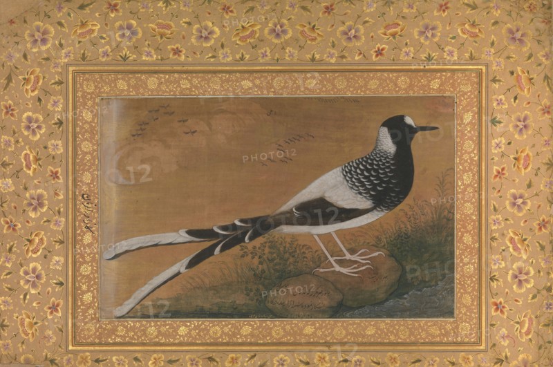 Spotted Forktail, Folio from the Shah Jahan Album, recto: ca. 1610-15; verso ca. 1540.
