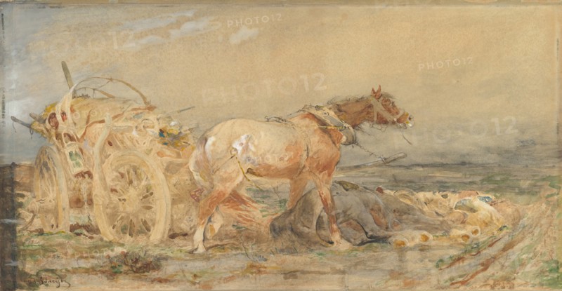 Abandoned: Marshes of the Danube, before 1887.