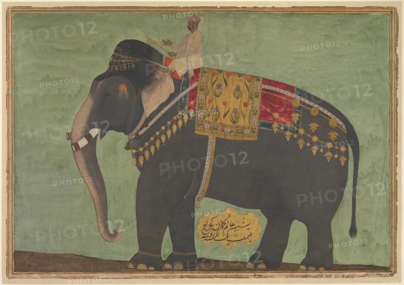 Portrait of the Elephant 'Alam Guman, ca. 1640.