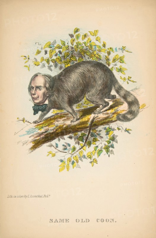 Same Old Coon (Henry Clay), from The Comic Natural History of the Human Race, 1851.