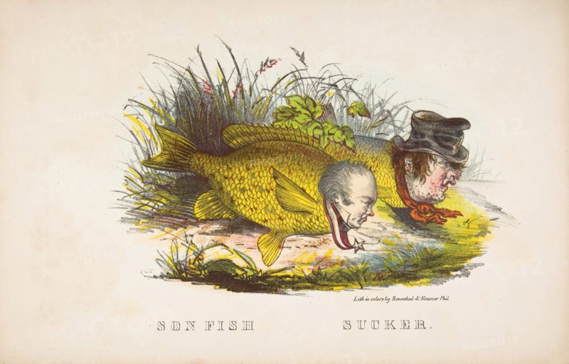 Son Fish and Sucker, from The Comic Natural History of the Human Race, 1851.