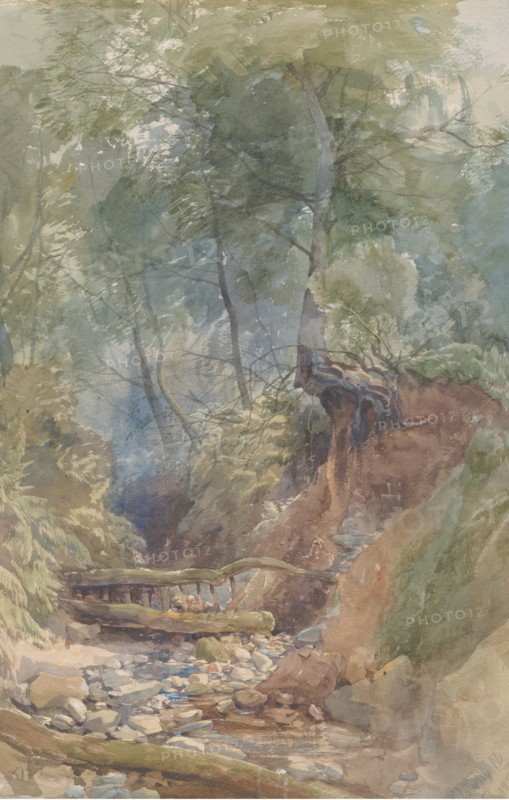 A Stream Near Clovelly, North Devon, 1850.