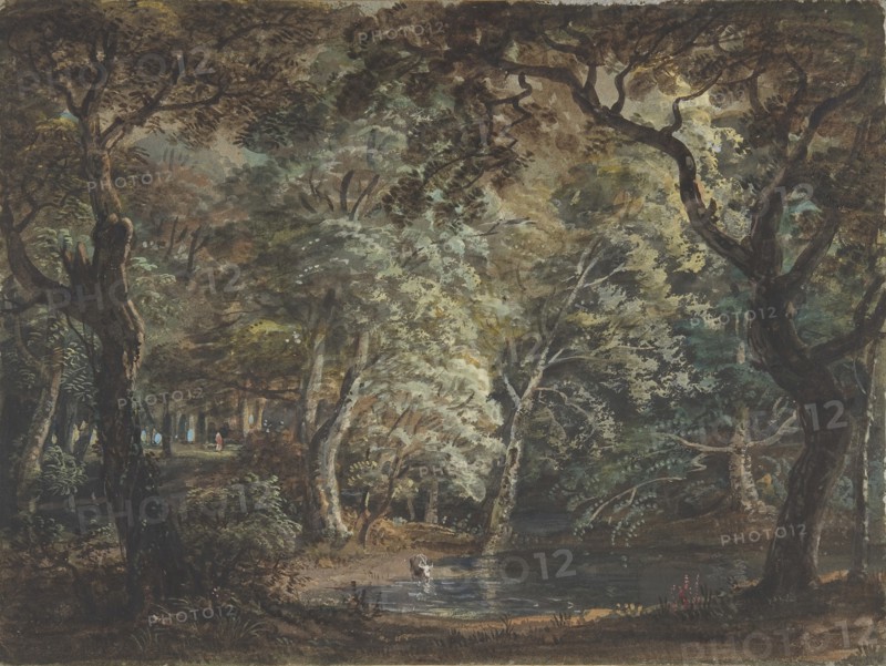 Windsor Great Park, 1790-99.