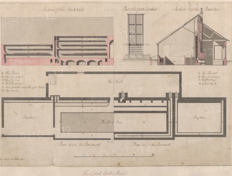 The Great Exotic Stove at Kew, 1763.