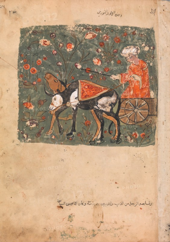 The Father's Advice Followed by a Son who Sets out to Join a Caravan with the Two Oxen, Folio from a Kalila wa Dimna, 18th century.