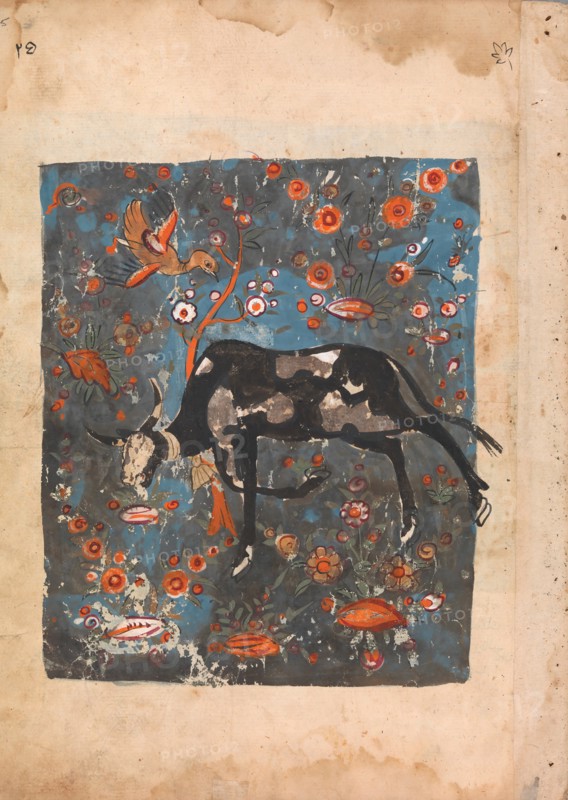 The Ox Shanzabeh Left Behind, Grazing in the Territory of the Lion King, Folio from a Kalila wa Dimna, 18th century.