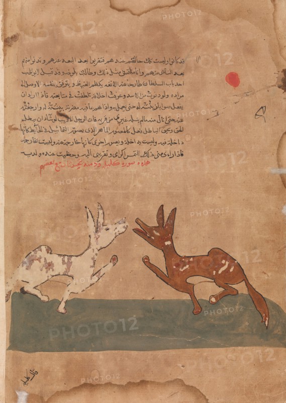 Kalila and Dimna Discussing Dimna's Plans to Become a Confidante of the Lion, Folio from a Kalila wa Dimna, 18th century.