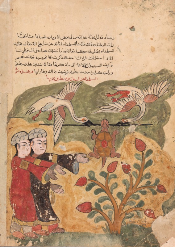 The Flight of the Tortoise, Folio from a Kalila wa Dimna, 18th century.