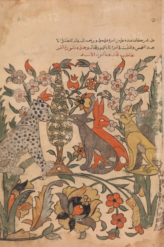 Leopard Bearing Lion's Order to Fellow Judges, Folio 51 recto from a Kalila wa Dimna, 18th century.