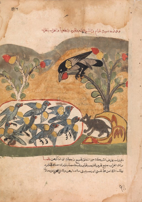 The Mouse Gnaws the Net Imprisoning the Doves, Folio from a Kalila wa Dimna, 18th century.