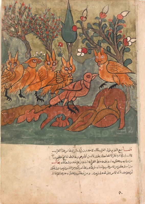 The Crow Spy Talks to the King of the Owls and His Ministers, Folio from a Kalila wa Dimna Manuscript, 18th century.