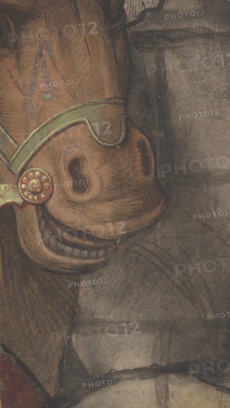 Horse's head, 1500-1550.