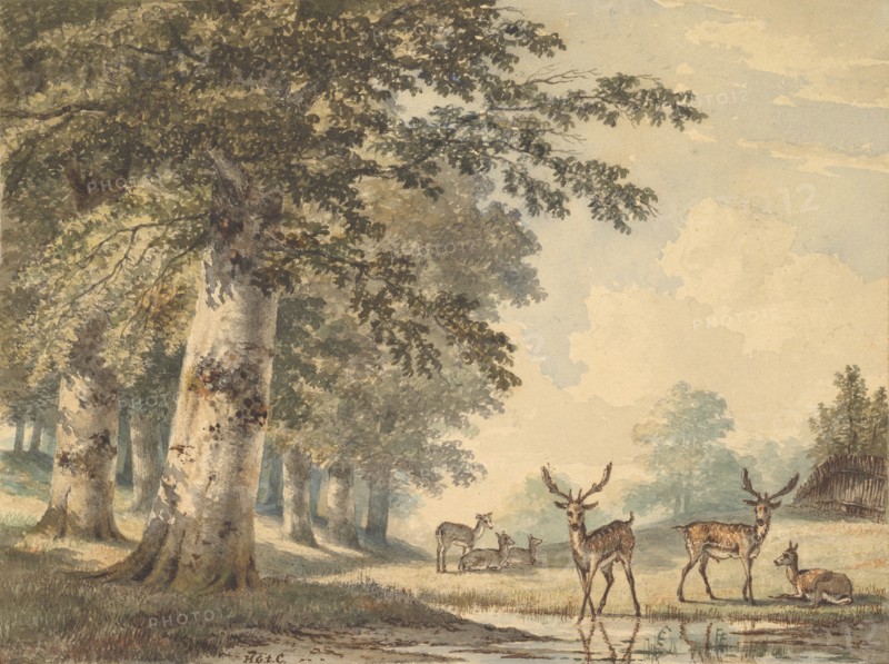 Deer under Beech Trees in Winter, 1853.