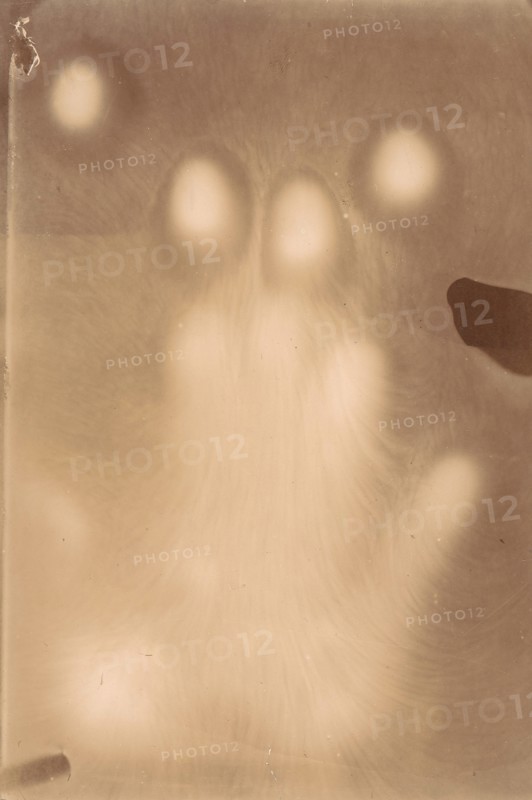 [Effluvia from a Hand Resting on a Photographic Plate], 1898-99.