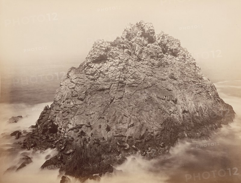 Sugar Loaf Islands, Farallons, 1868-69.