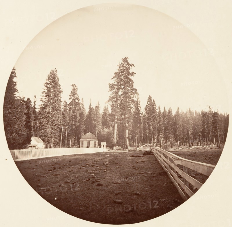 The Sentinels. C. Grove, ca. 1878.