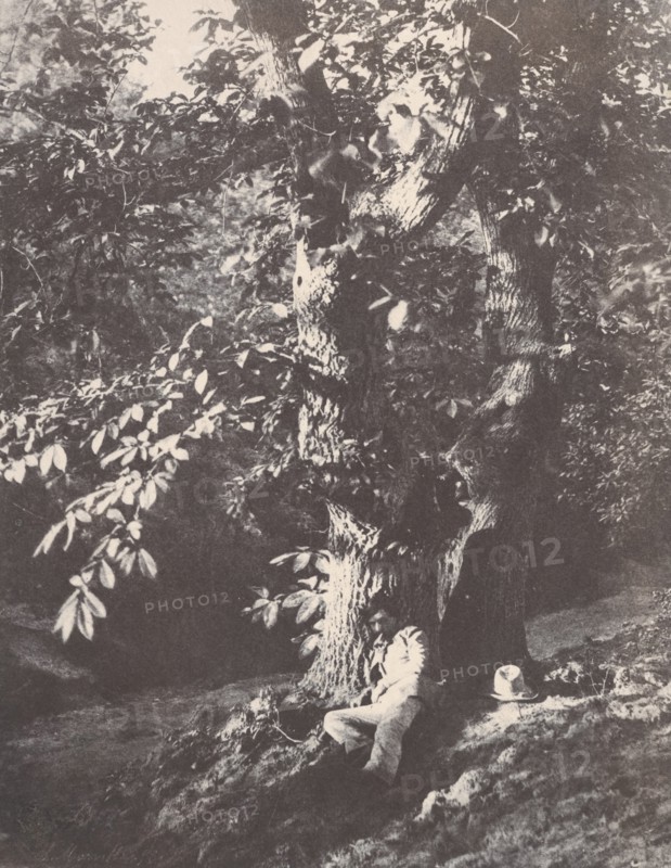 Homme allongé au pied d'un chàtaignier, 1850-53.