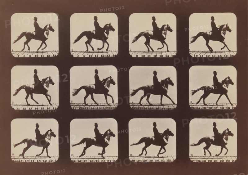 Attitudes of Animals in Motion, 1879, printed 1881.