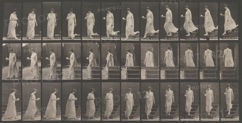 Animal Locomotion. An Electro-Photographic Investigation... of Animal Movements. Commenced 1872 - Completed 1885. Volume VI, Woman (Semi-Nude and Transparent Drapery) Children, 1880s.