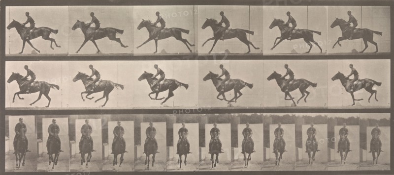 [Horse and Rider Galloping], 1883-86, printed 1887.