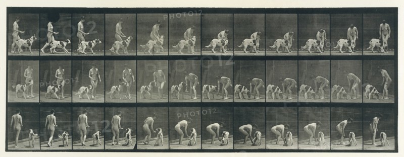 Animal Locomotion. An Electro-Photographic Investigation of Consecutive Phases of Animal Movements. Commenced 1872 - Completed 1885. Volume IV, Women (Nude), 1880s.