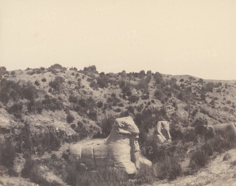 Karnak (Thèbes), Sphinx a Tête Humaine et a Tête de Bélier, en Y, 1851-52, printed 1853-54.