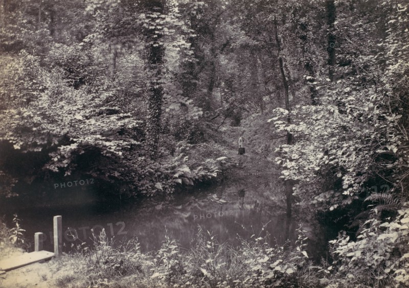 Colwyn Bay. The Pool in the Wood, 1870s.